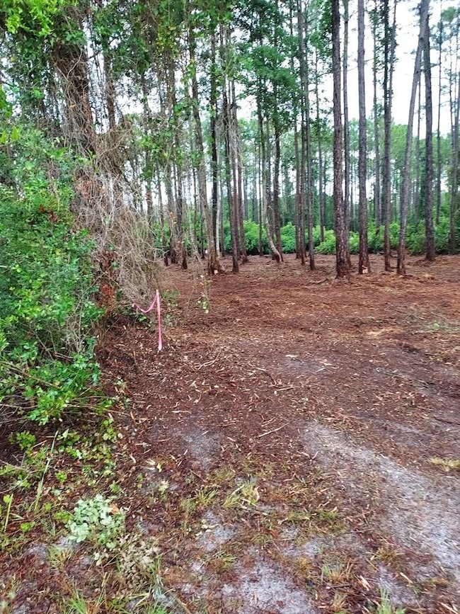 164 Royal Tern Way, Carrabelle, FL 32333 - photo 3