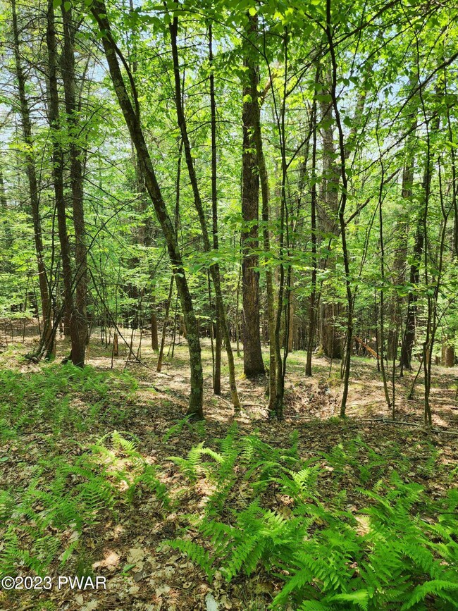 0 Lots 387 & 388 Creek Ct unit PWBPW231745, Hawley, PA 18428 - photo 2