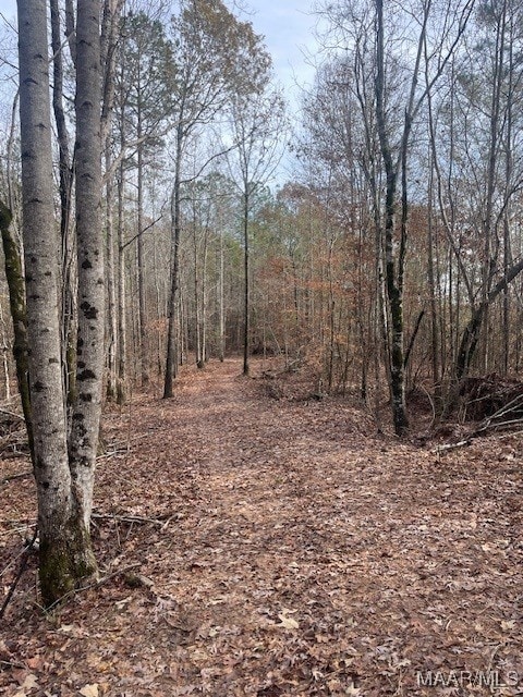 1300 Coosa County Road 71, Kellyton, AL 35089 - photo 5