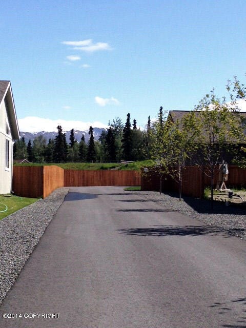 Tree lined driveway