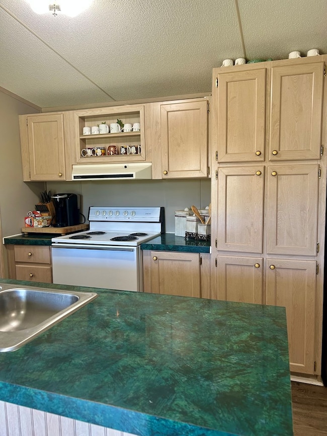 2830 Calhoun Dr, Abbeville, AL 36310 - photo 6