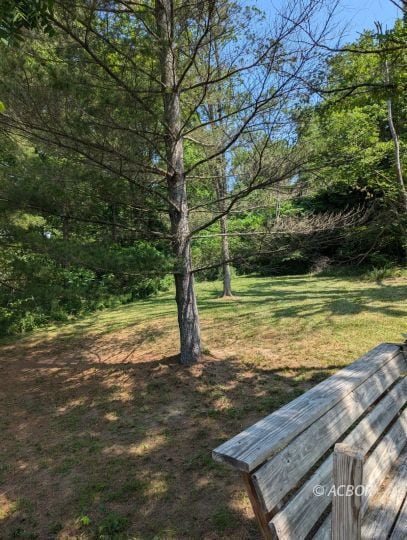 side yard
