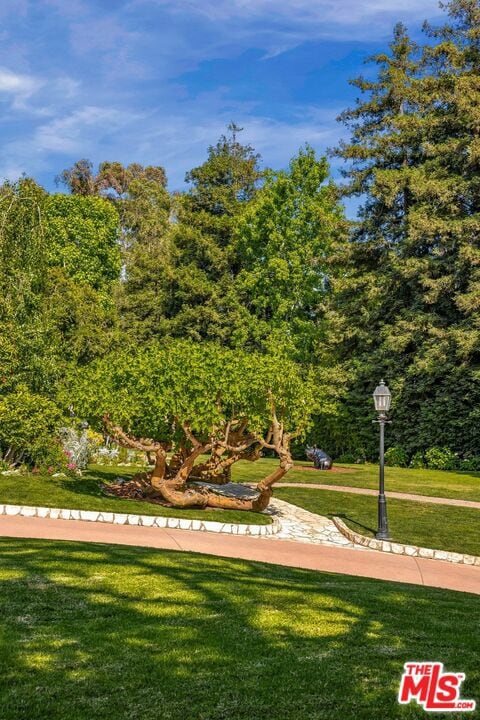 570 S Mapleton Dr, Los Angeles, CA 90024 - photo 6