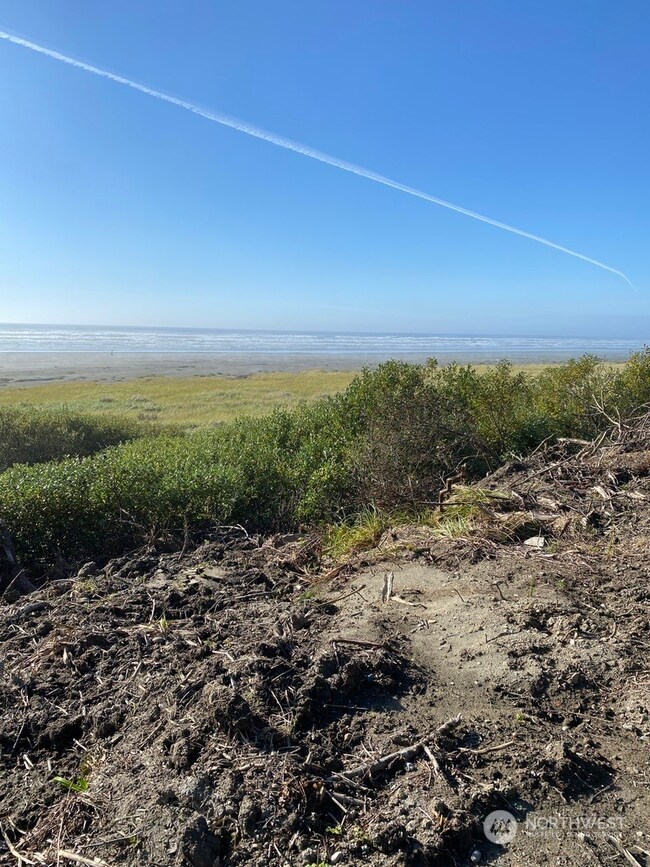 0 Railroad Ave, Pacific Beach, WA 98571 - photo 6