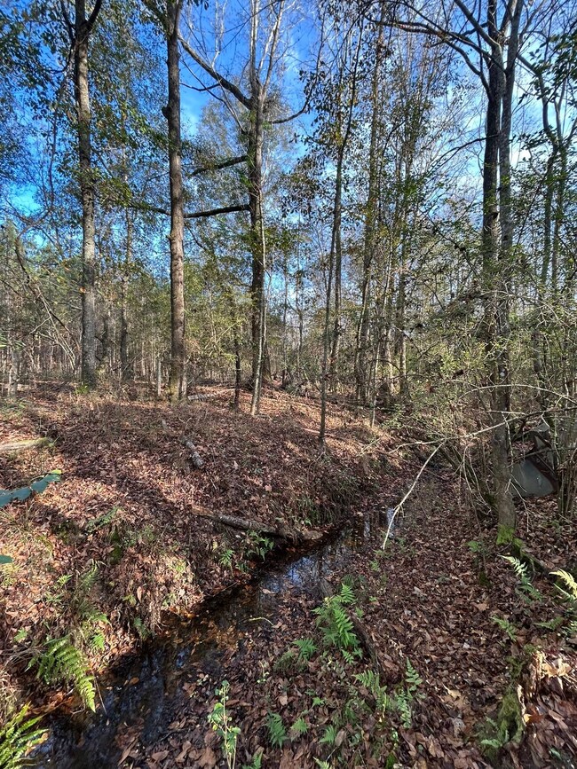 5733 County Road 30, Luverne, AL 36049 - photo 5