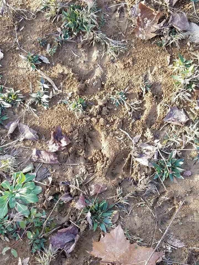 3553 E Coen Rd, Bloomfield, IN 47424 - photo 3