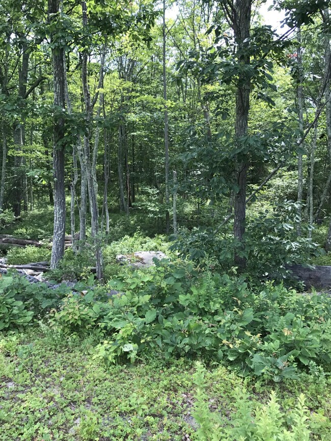 Lot #10 Blue Heron Way, Hawley, PA 18428 - photo 2