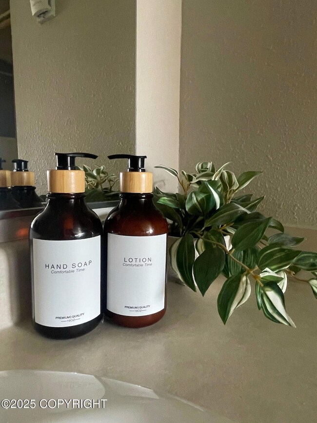 34303 Old Sterling Hwy unit 3, Anchor Point, AK 99556 - photo 4