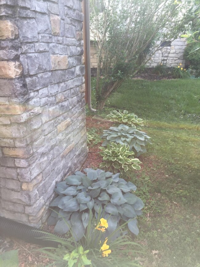 112 Medinah Ct, Frankfort, KY 40601 - photo 5