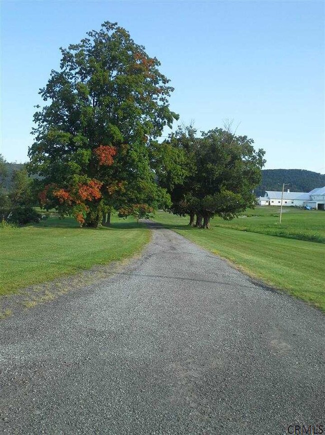 221 Mineral Springs Rd, Cobleskill, NY 12043 - photo 2