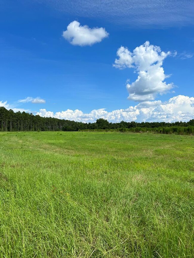 0 Swan Rd, Fitzgerald, GA 31750 - photo 2