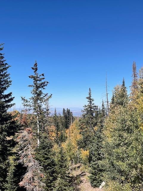 1005 Autumn Dr, Brian Head, UT 84719 - photo 3