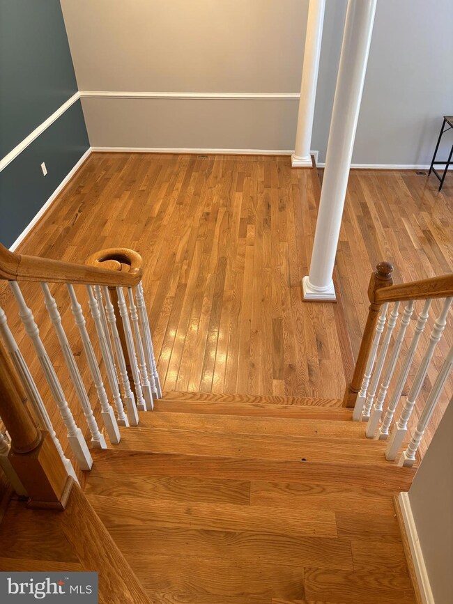 14102 Red Eagle Ln, Silver Spring, MD 20906 - photo 6