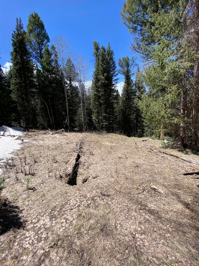 IMG-4656