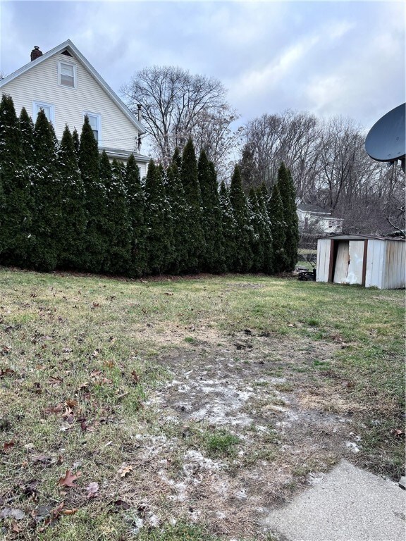 back yard