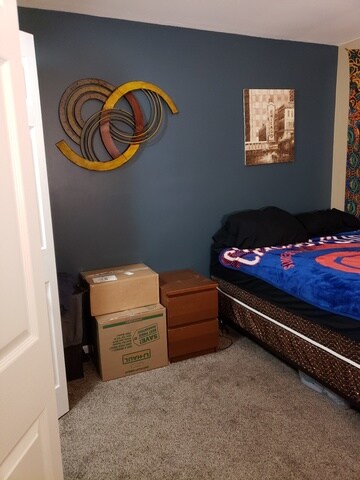 766 N Gary Ave unit 208, Carol Stream, IL 60188 - photo 5