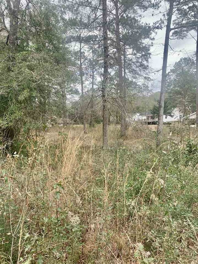 000 Magnolia Pointe Dr, Gantt, AL 36421 - photo 2