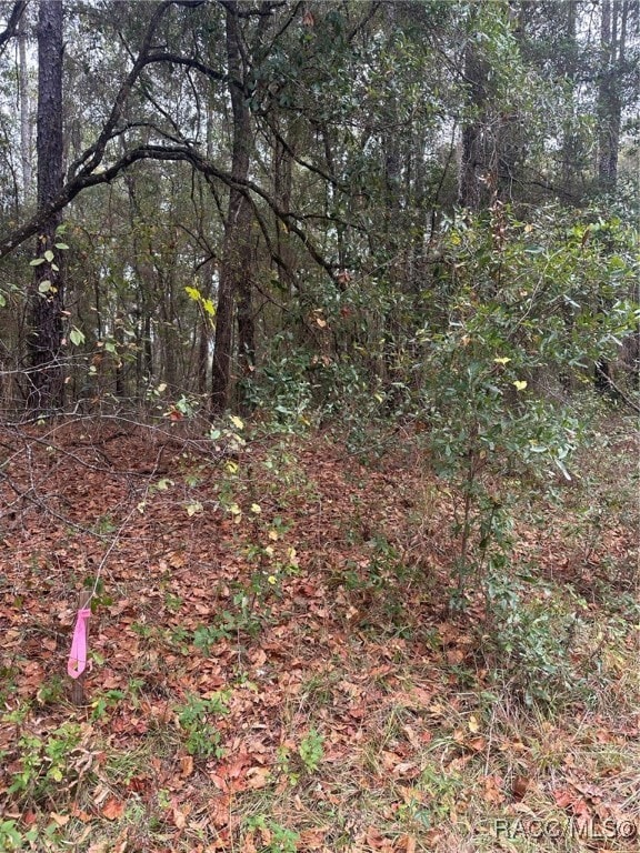 8107 N Floyd Point, Dunnellon, FL 34434 - photo 3