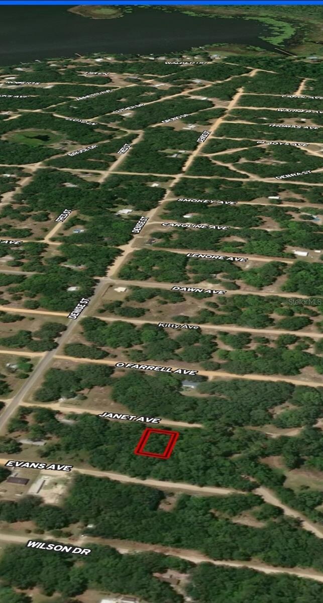 LOT 3 Janet Ave, Interlachen, FL 32148 - photo 4