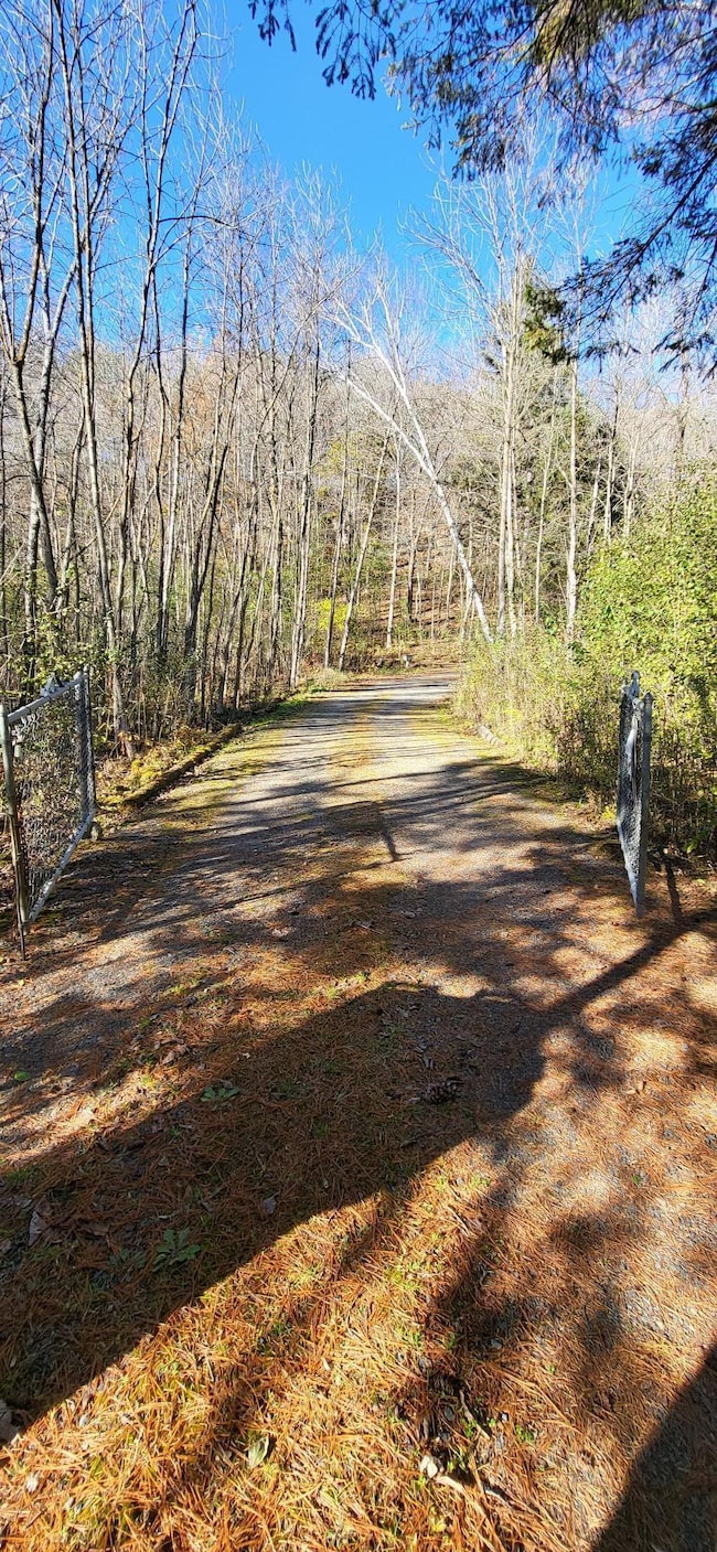 16993 197th St N, Marine On Saint Croix, MN 55047 - photo 4