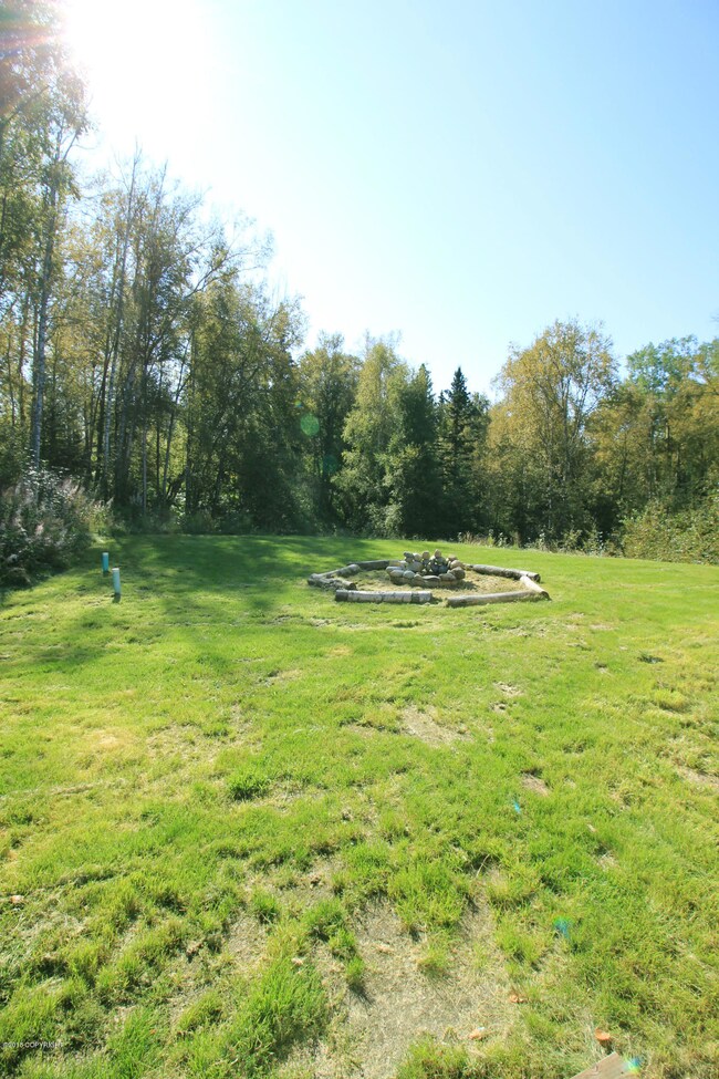 Back Yard 2