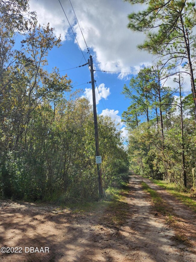 4625 Fir Rd, New Smyrna, FL 32168 - photo 3