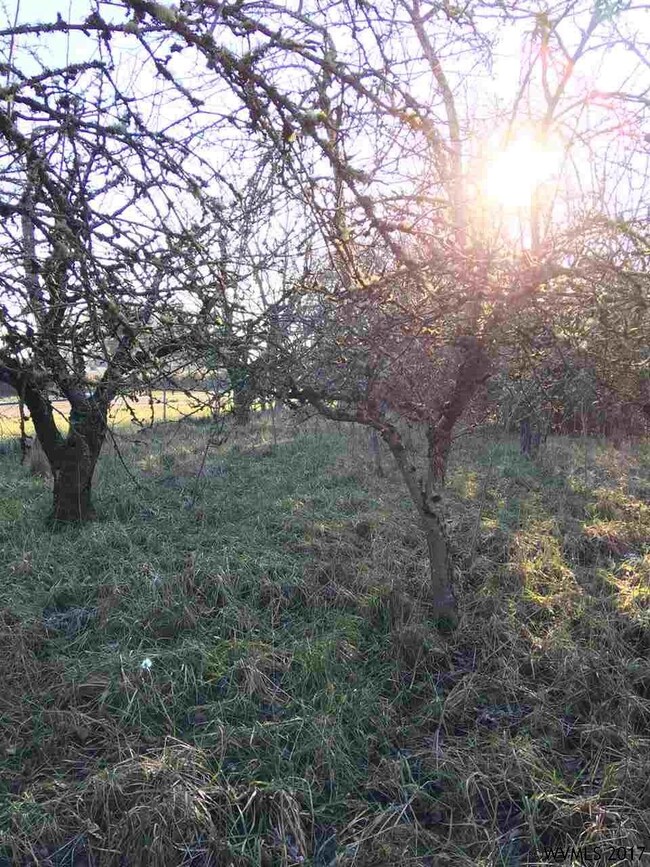 0 Pleasant View Dr NE unit 713425, Keizer, OR 97303 - photo 6