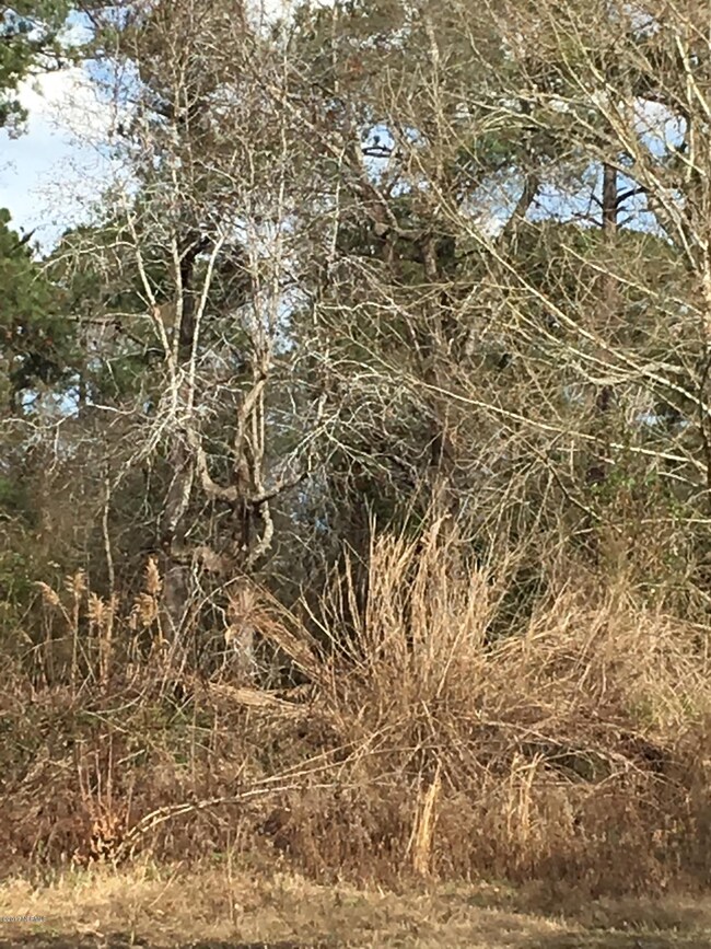 Land 3