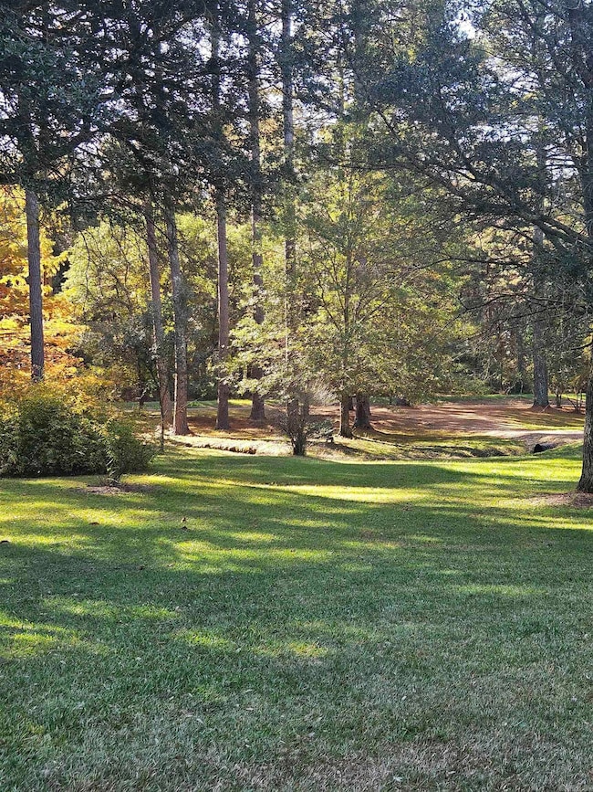 212 Young Rd, Nashville, AR 71852 - photo 5