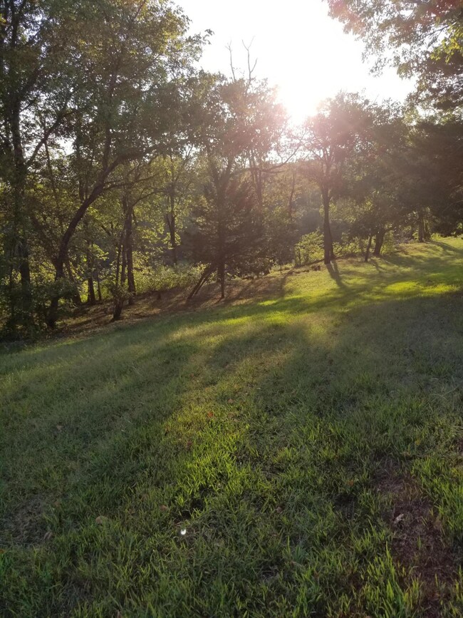 PIC #3