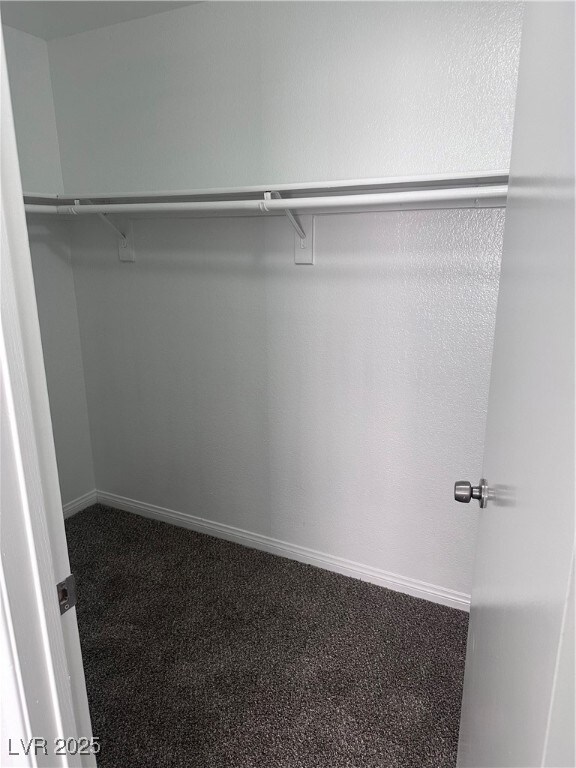 Walk in closet featuring carpet flooring