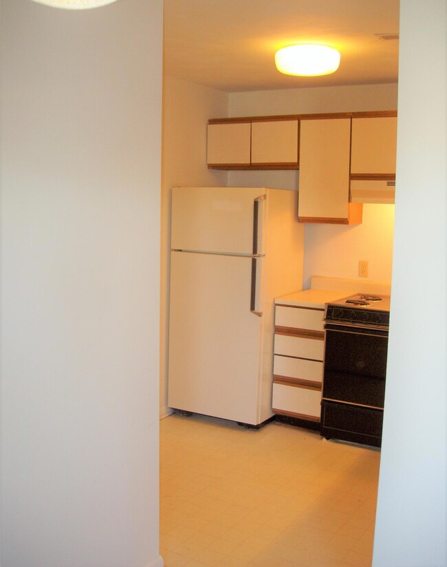1207 University Terrace unit E, Blacksburg, VA 24060 - photo 5