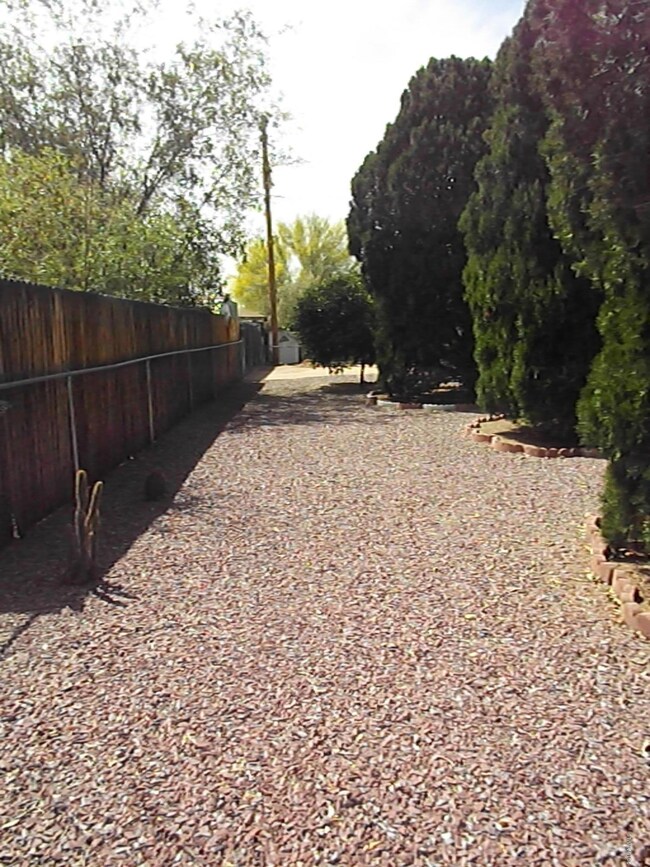 Side Yard