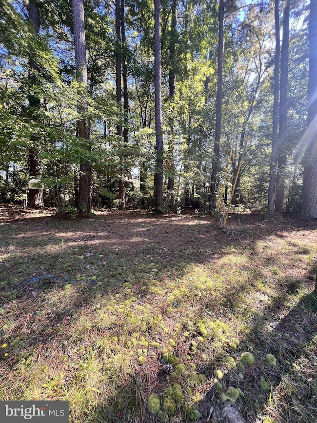 66 Weatherall Dr, Montross, VA 22520 - photo 2