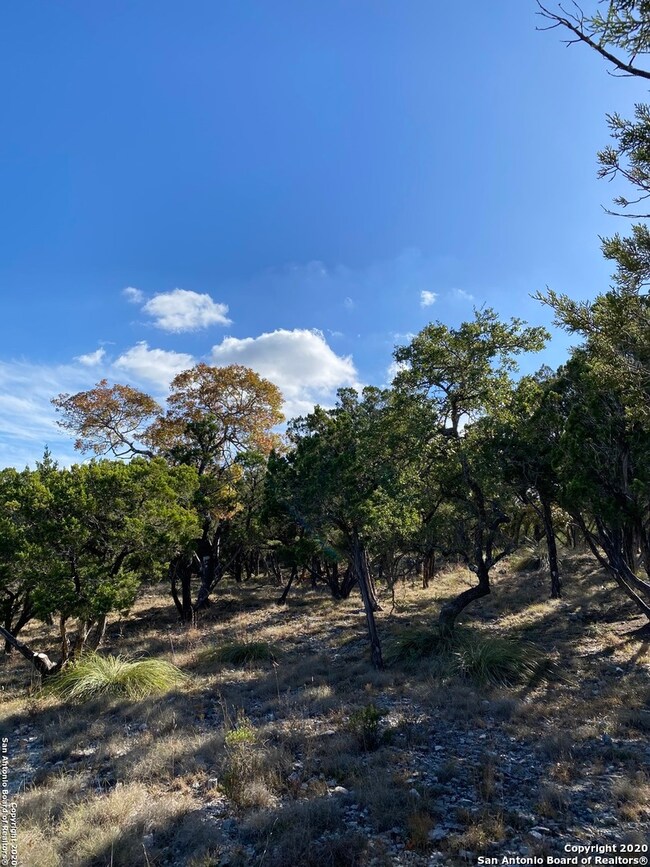 11314 Caliza Crescent, Boerne, TX 78006 - photo 2