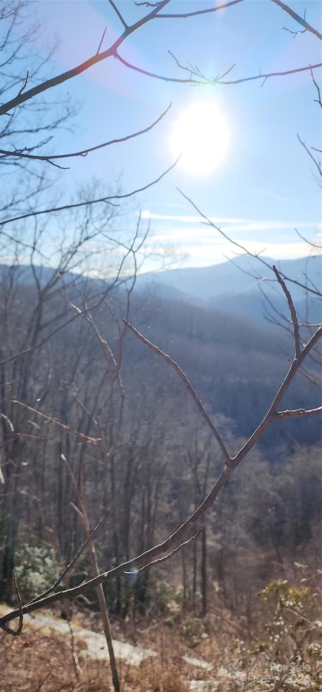 9999 Still Spring Rd unit Lot 4, Black Mountain, NC 28711 - photo 3