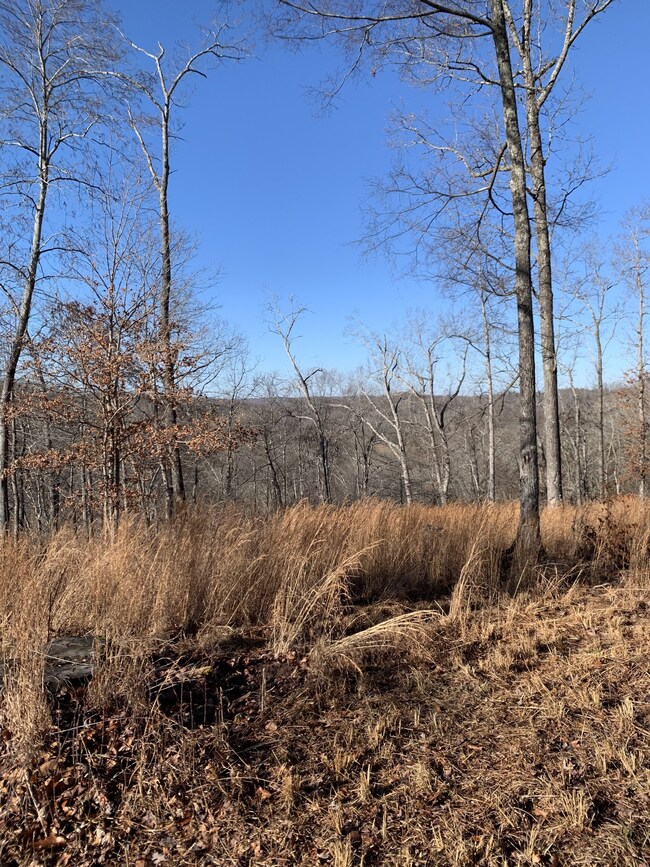 0 Hester Beasley Rd unit RTC2498520, Nashville, TN 37221 - photo 6