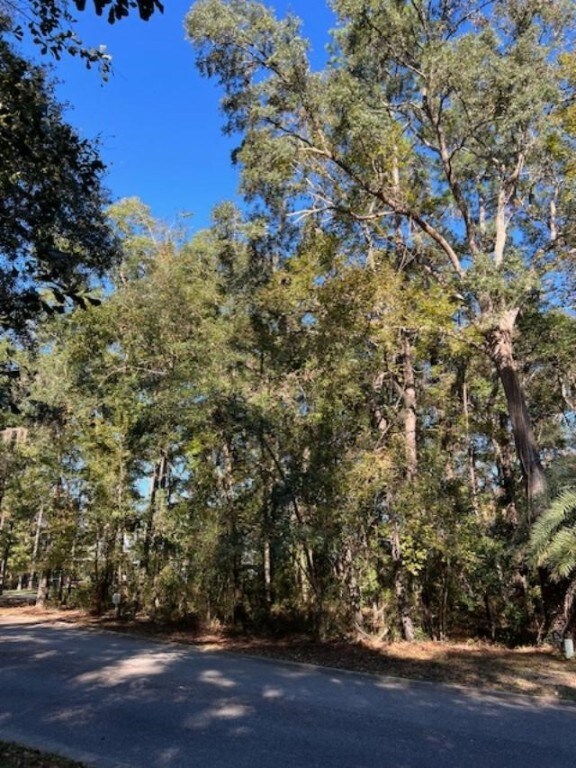 51 Bluffs Landing, Waverly, GA 31565 - photo 2