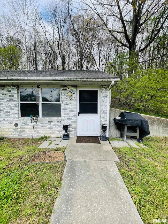 612 3rd Ave, Grand Tower, IL 62942 - photo 4