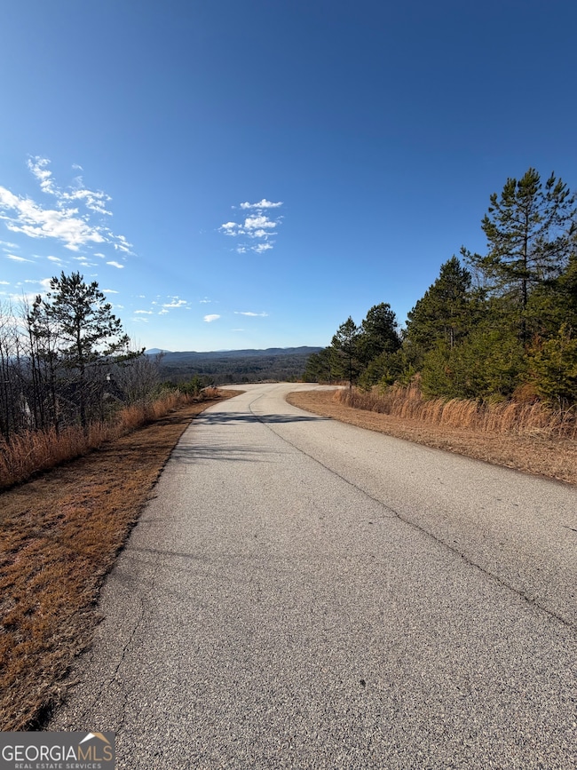 0 Mountain Ridge Dr unit LOT 42, Clarkesville, GA 30523 - photo 4