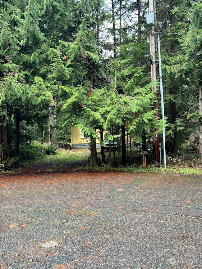 901 Ruby Valley Ct, Maple Falls, WA 98266 - photo 3