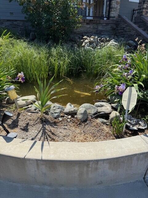 Koi pond