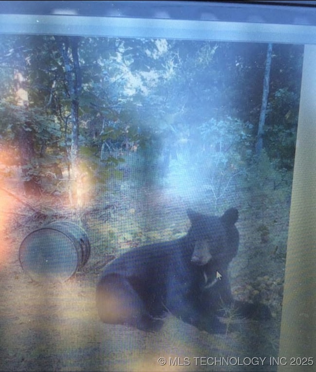 unlisted-address, Panola, OK 74578 - photo 6