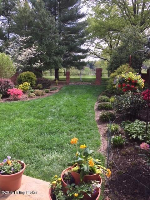 Back yard #4