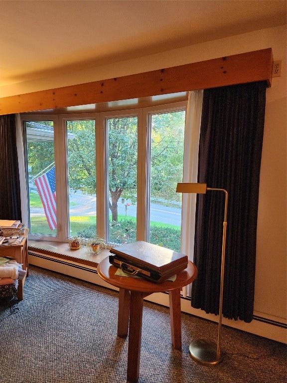 Wide bay window gives tons of light in living room