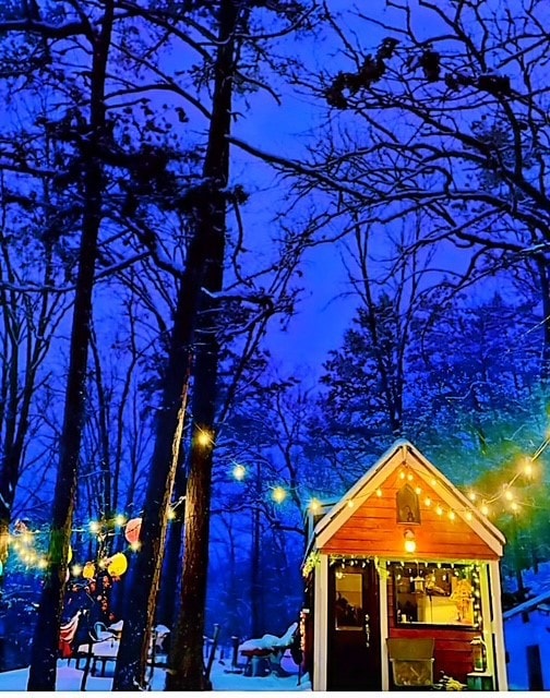 342 Lightning Ridge, Eureka Springs, AR 72632 - photo 4