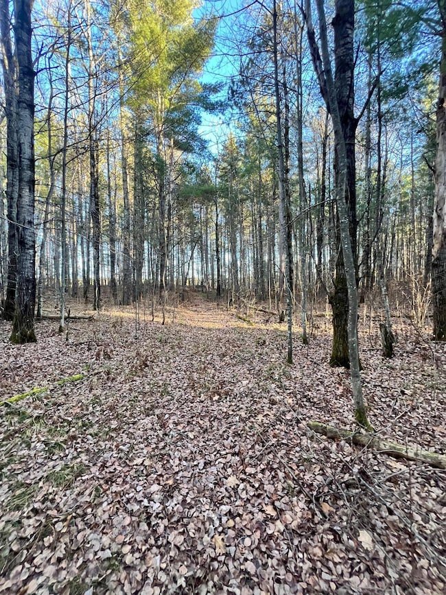 TBD County Road 427, Blackberry Township, MN 55744 - photo 7