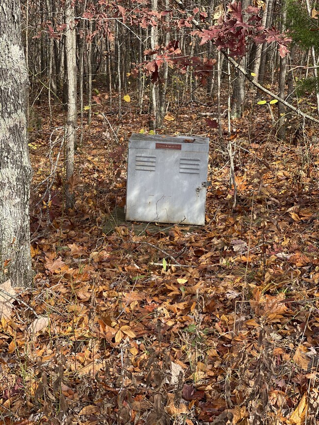 0 Pigpen Hollow Rd unit RTC2454774, Waynesboro, TN 38485 - photo 5