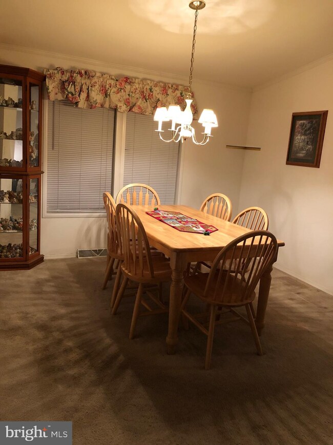 248 Andrew Ave, Mantua, NJ 08051 - photo 7