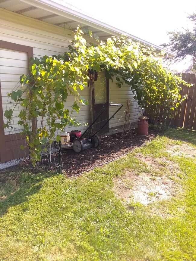 IMG_20210729_095952917